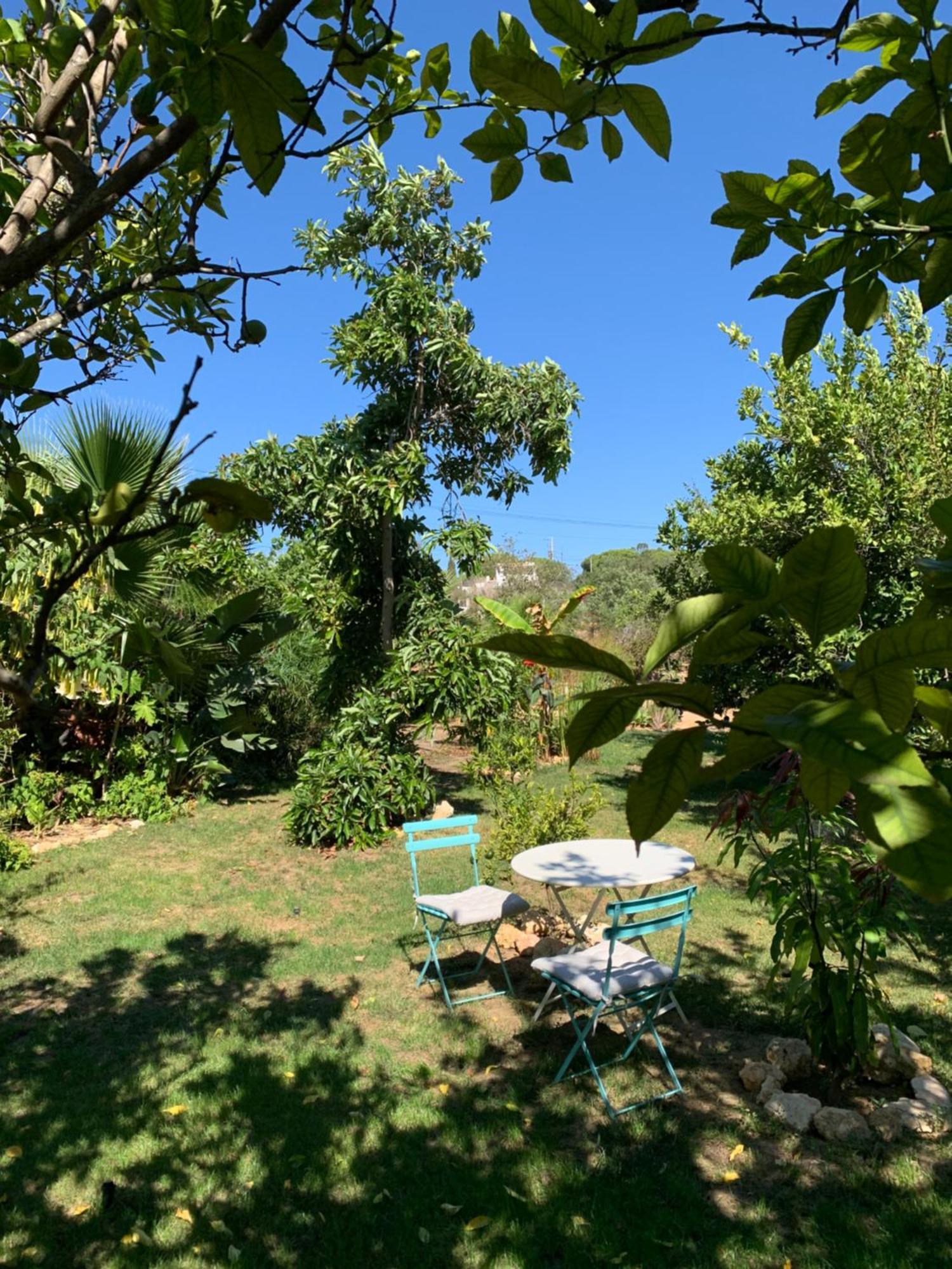 A Tranquil Garden Apartment, Carvoeiro - Benagil Esterno foto