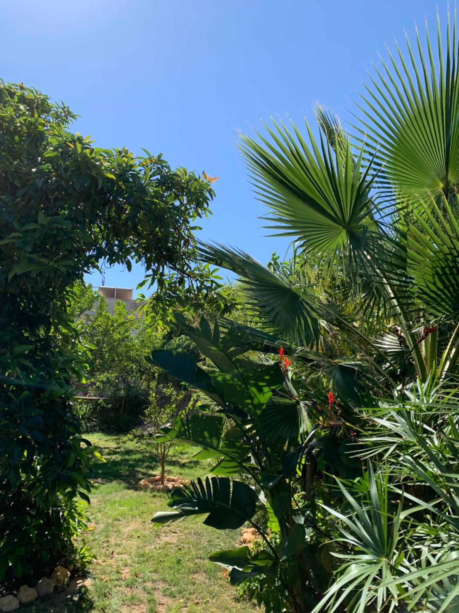 A Tranquil Garden Apartment, Carvoeiro - Benagil Esterno foto