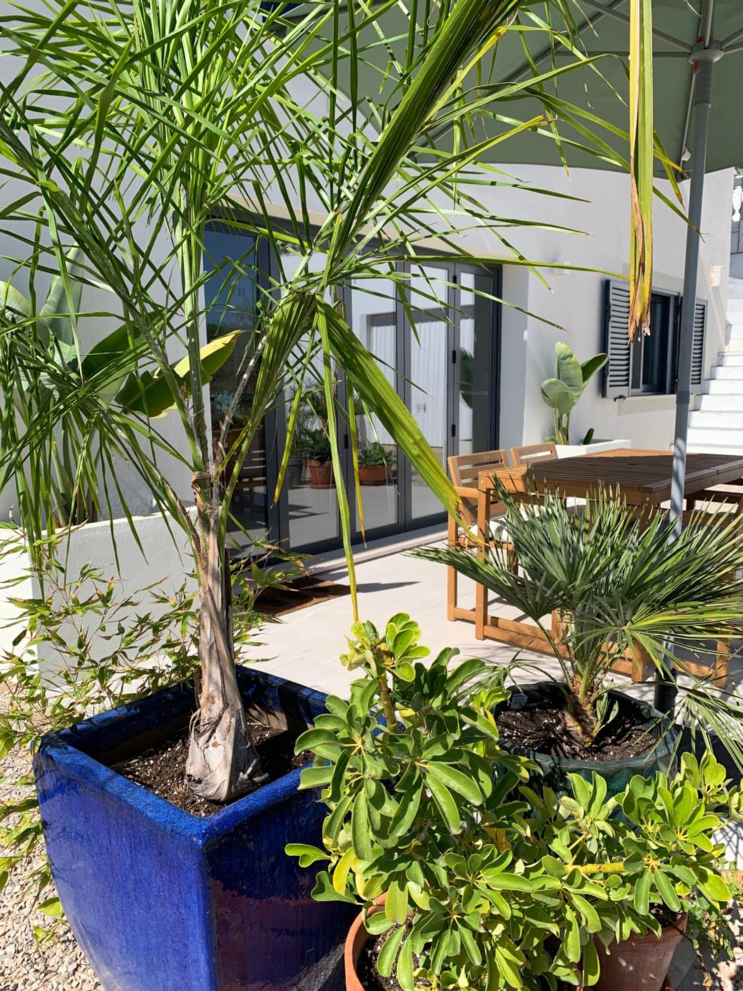 A Tranquil Garden Apartment, Carvoeiro - Benagil Esterno foto